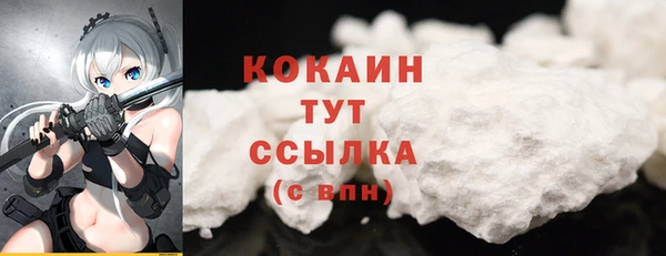 гашик Тобольск