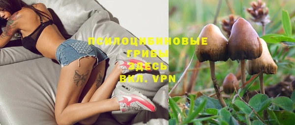 меф Сясьстрой