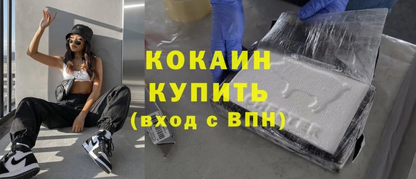 мдпв Тавда