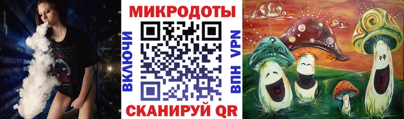 Галлюциногенные грибы Psilocybine cubensis кракен ССЫЛКА Власиха